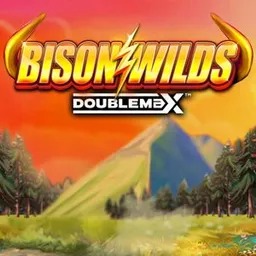 Bison-Wilds